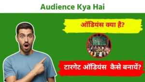 Audience Kya Hai